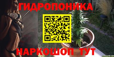 гашик Краснодар